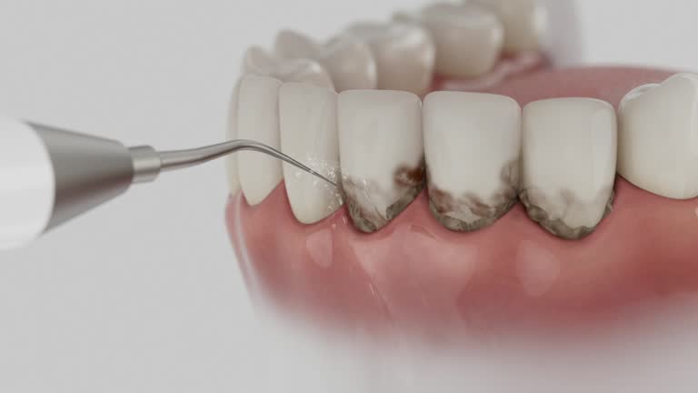 Reliable Dental contractor in McNary, AZ by Dentist Open Now